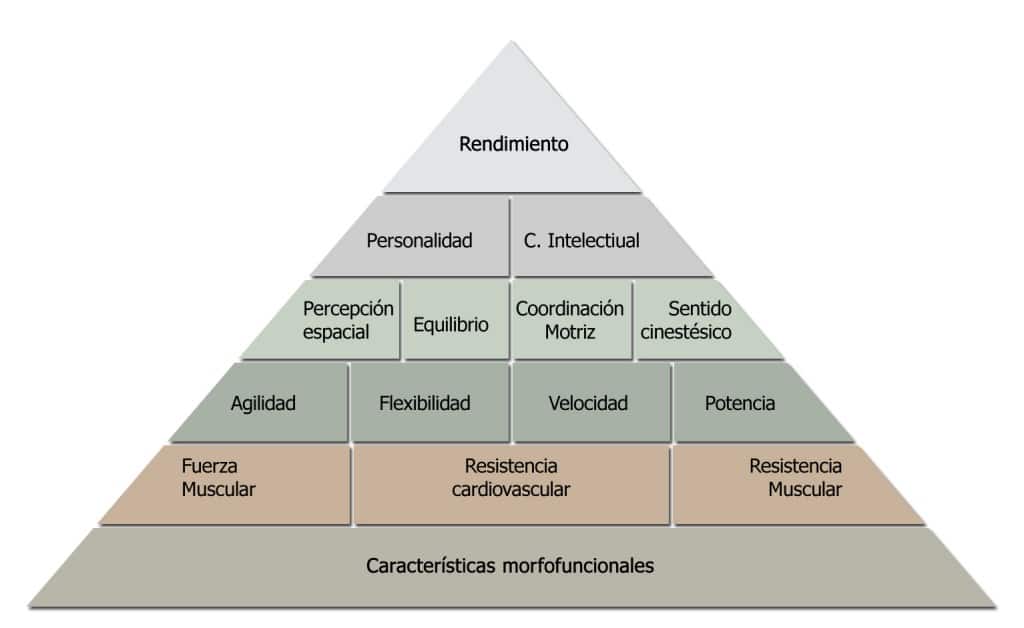 Pirámide de rendimiento